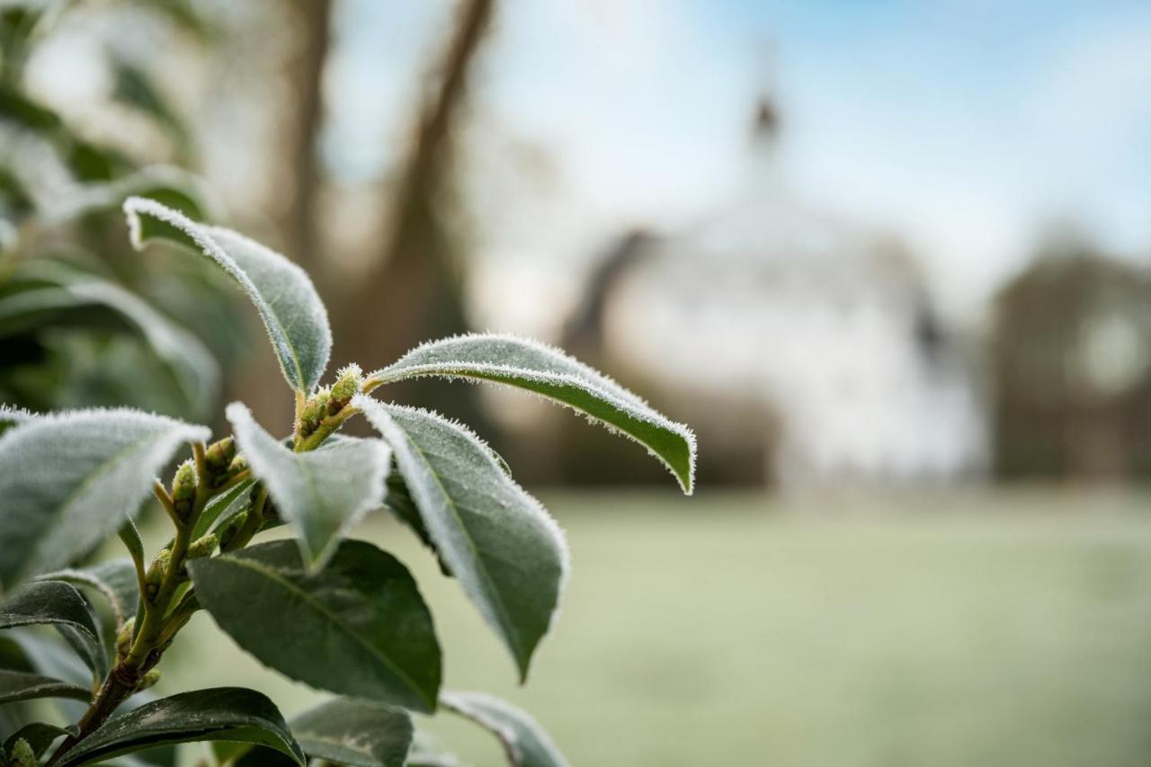 Premium Penthousewohnung Im Schloss - Gut Kletkamp Exterior foto